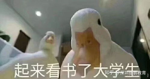 为所欲为表情包原版比心