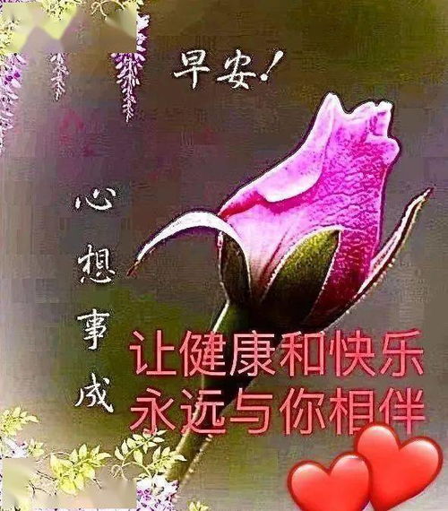 和对象说早安的表情包说天气