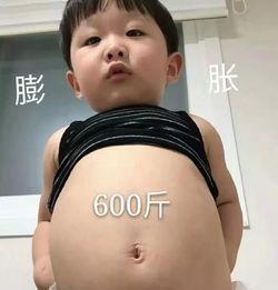 全网超火表情包,张张笑出腹肌,看到刘星你别过来,我怕猪