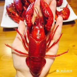 虾友记小龙虾特色烧烤沈阳旗舰店的馋嘴麻辣小龙虾好不好吃用户评价口味怎么样沈阳美食馋嘴麻辣小龙虾实拍图片大众点评