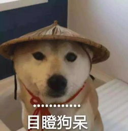 牛奶包装上一个地方不同,口味就差很多网友真没注意过