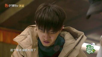杨超越过年表情包王源