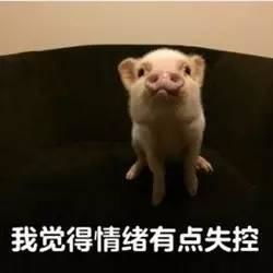 为啥你每次去完厕所要吃薄荷糖