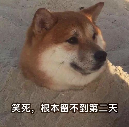 被嘲上热搜的发育系爱豆,到底有没有事业心