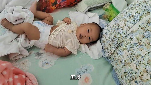 出生77天,妈妈还没睡醒五哥先醒了,跟他讲话这小表情亮了
