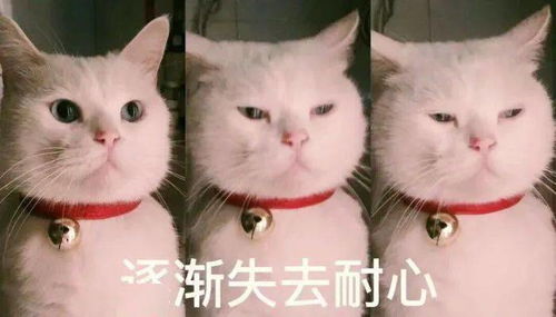 这些年,被忽悠过的葡萄酒谎言
