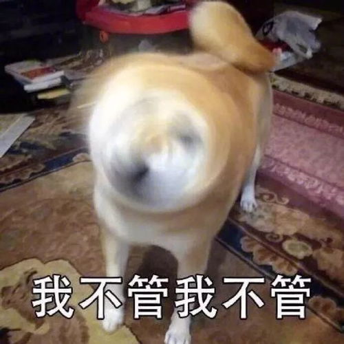 小伙有房有车相亲遭女方嘲讽30岁没100万打一辈子光棍...