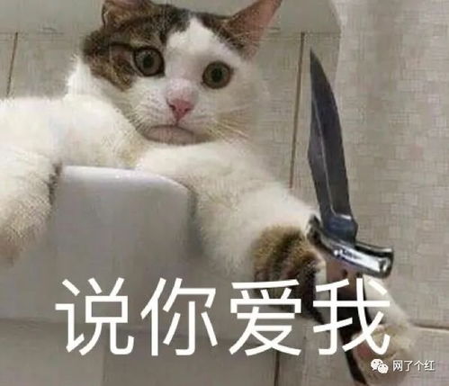 妹子主动追了两个月的对象终于向她表白了,这也太甜了吧