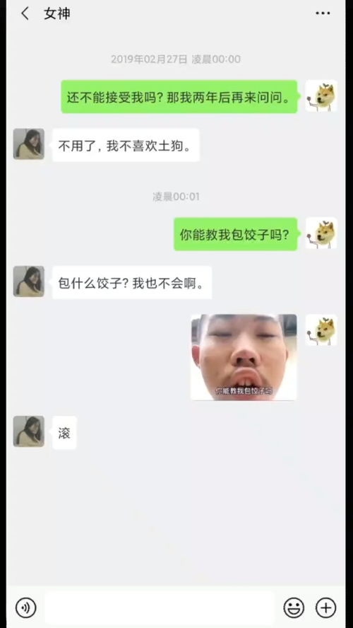 可以教我包饺子吗沙雕聊天