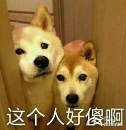 脑袋突然缺根弦为毛总有人把油门当刹车