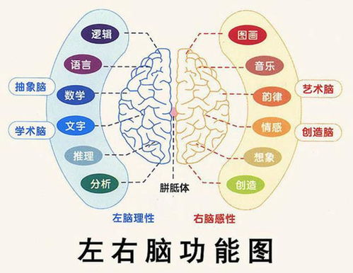 男孩开窍晚,罪魁祸首大脑太懒散,3招弥补大脑动力不足