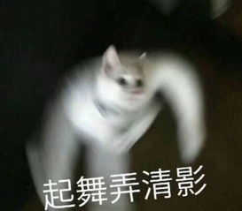 无意中打开闺蜜手机里的私密照,看完我要炸了
