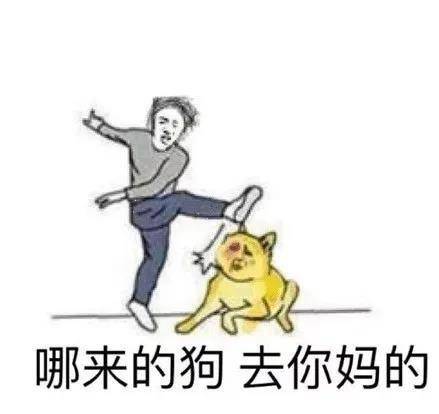 沙雕搞笑表情包骚,是我一直以来,戒不掉的癖好