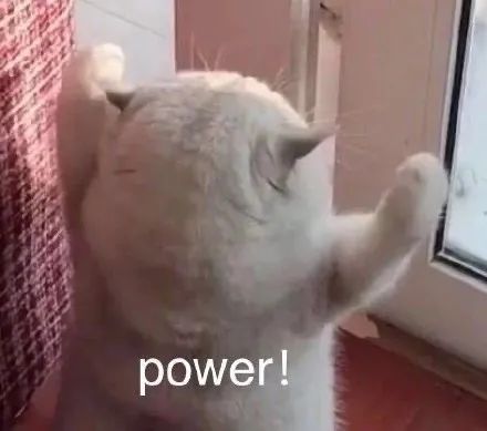 表情包猫水太深