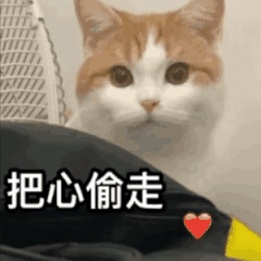 欧拉好猫偷走女人芯猫可别给我丢脸了呸
