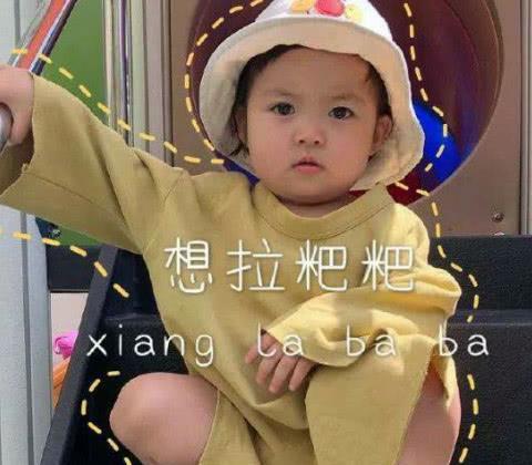 萌宠萌娃表情包太冷不想打字,你懂我意思吧