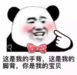 送你几张有点污的表情包我申请加入你的被窝,嘻嘻