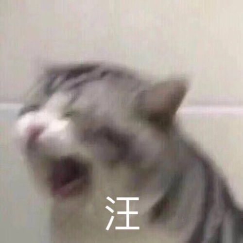 茶几们,请问糊咖模仿顶流是日常操作吗