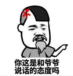 你这是和我说话的态度吗表情包下载你这是和我说话的态度吗表情包高清无水印极光下载站