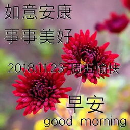 2018最新微信群发早上好问候表情图片最漂亮早上好动态表情图
