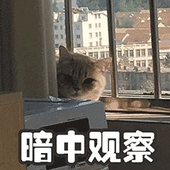 有哪些适用于和女生聊天开场白的表情包