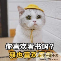 抖音撩妹土味情话有哪些2018抖音撩妹土味套路话表情包大全