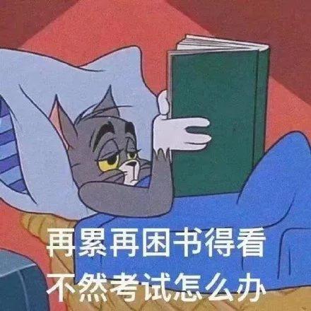 49岁阿姨考研成功,坚持背单词700多天为你揭露心想事成的真相