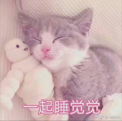 有没有给女朋友亲亲的表情包