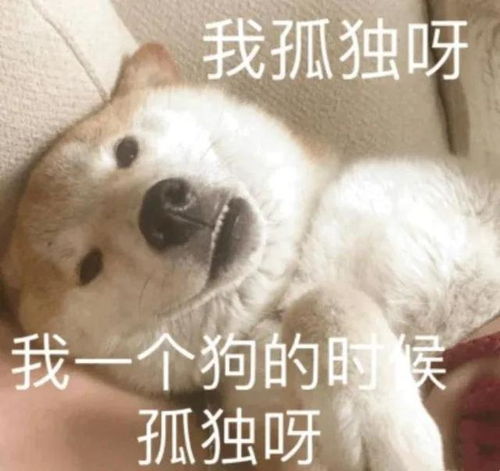 可爱狗狗表情包第一弹