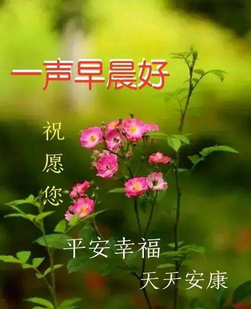 2021年2月17日大年初六清晨早上好问候祝福动态表情图片大年初六最新早安问候祝福图片带字温馨
