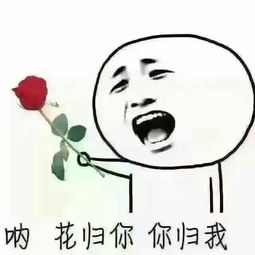 有哪些专用于撩妹撩汉的表情图