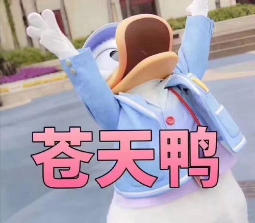 口罩反馈和对比