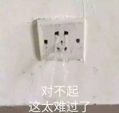 护肤论猕猴桃如何快速变成温泉蛋