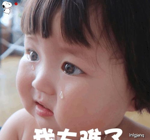 聊天表情包我太难了罗熙