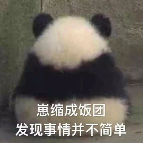 高清表情包表情包