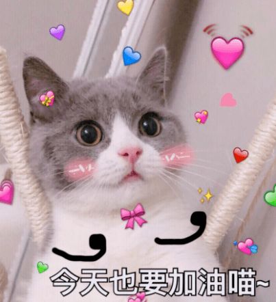 你在几层鸡娃反怼励志公式神解读
