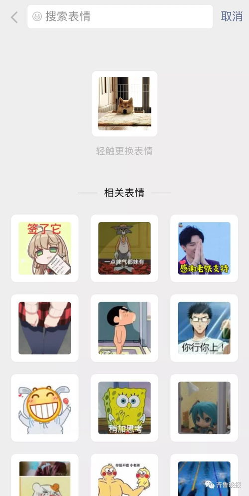 表情微信又悄咪咪上线新功能已经预见到了表情包大战媒体澎湃新闻thepaper表情