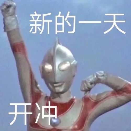 有什么可以打开话题的表情包