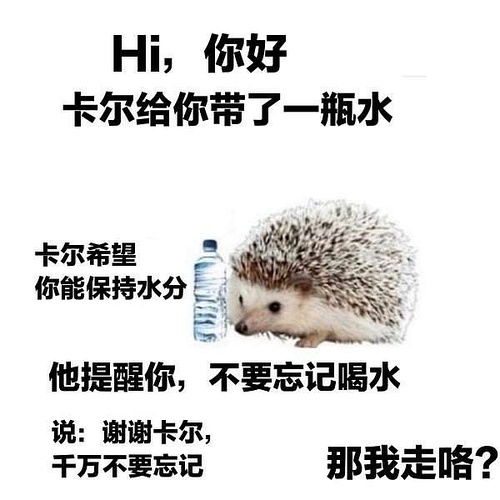 最近很火的表情包猫卡尔