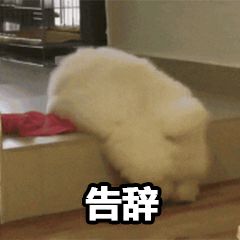 表情包长图片撤回