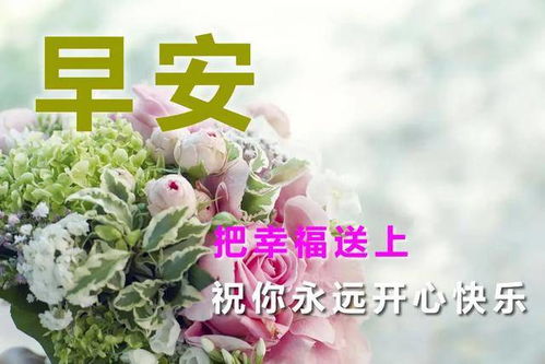 一个人在没钱时,把勤奋散出去,可能钱就来了,早安