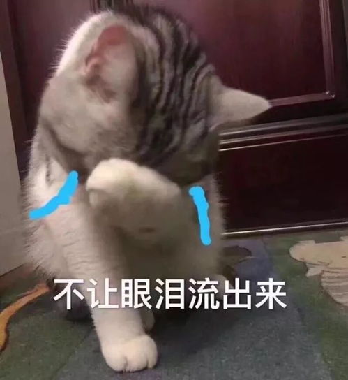 让人后怕这个动作你也有,因一瓶冰冻快乐水男子手指竟被炸骨折