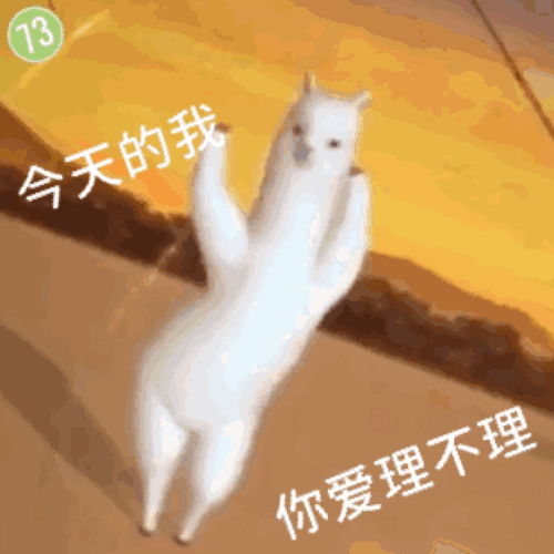 有哪些搞笑,可爱又骚气的表情包收藏谢谢