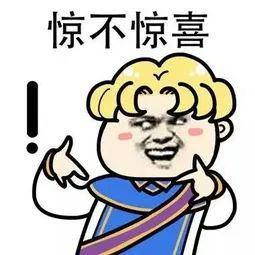 鹅心飞翔电子科大校宠不止鹅一个