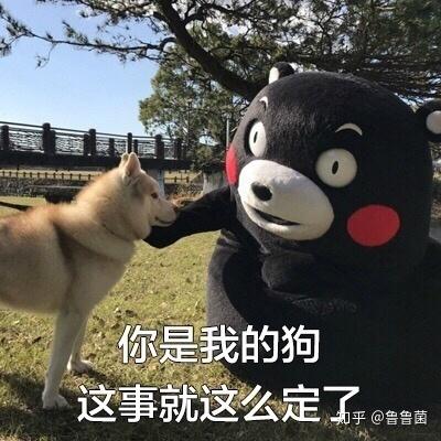 撩妹表情包开场白郑渊洁