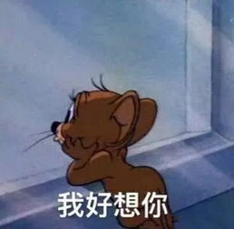 表情包丨不知道怎么哄女生为你准备了超多表情包