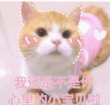 撒娇专用表情包