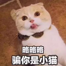 你到底适不适合剪短发看完就知道了