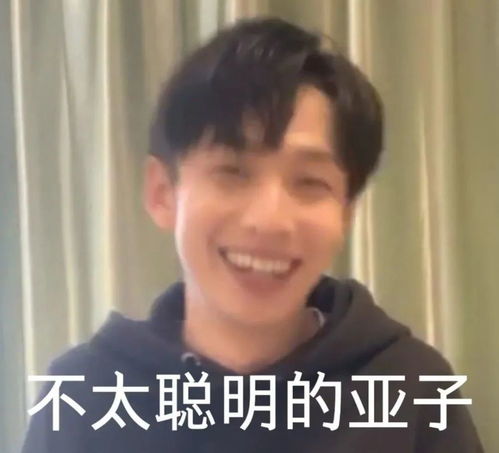 表情包名学沙雕系列