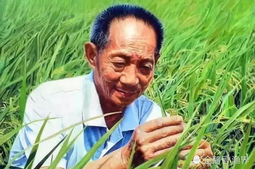 广告剩余